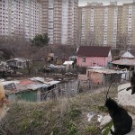 Among_the_huts07-800x533